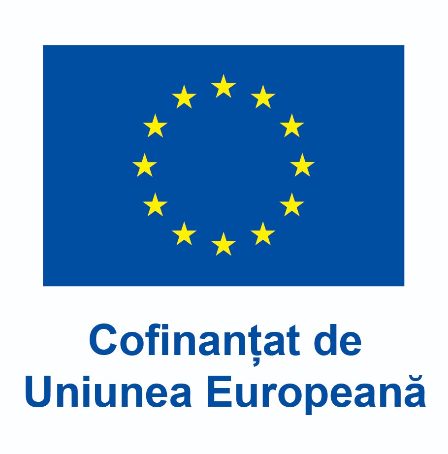 Logo Uniunea Europeana
